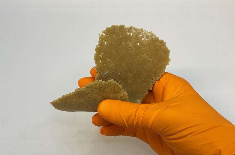 Sustainable Diapers & Pads: How Food Waste Can Solve Plastic Pollution