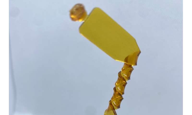 Sustainable Plastics: Innovative Production from Agricultural Waste