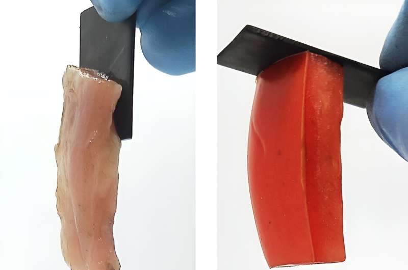 Electrically-Activated Adhesion: A Glue-Free Way to Bond Materials