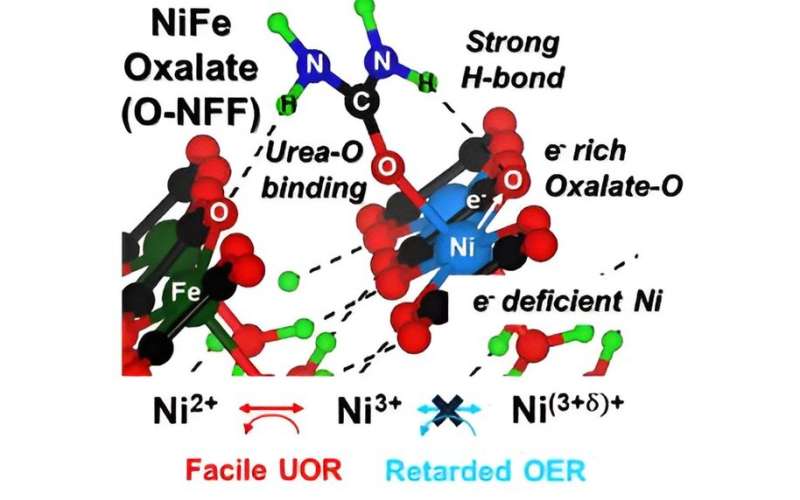 New Catalyst Boosts Hydrogen Production from Sewage Purification