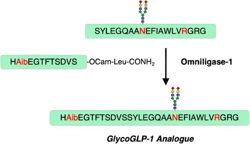 Novel Synthesis Method for Semaglutide and GLP-1 Drugs | Medicinal Chemistry Breakthrough