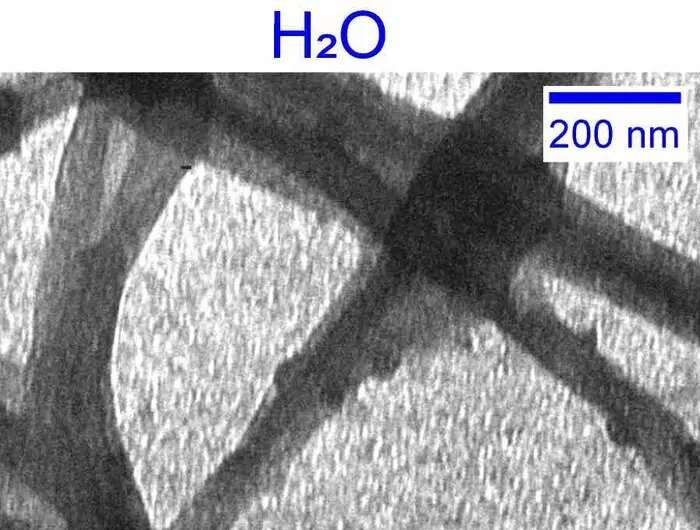 Water s Role in Collagen Assembly: Understanding the Building Block of Human Tissues
