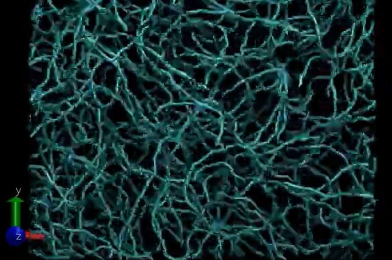 Machine Learning Model Predicts Chemical Reaction Outcomes