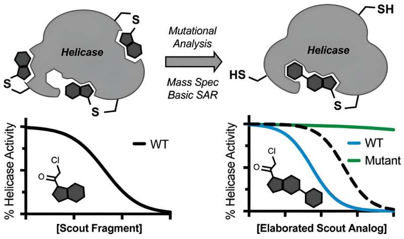Novel Drug Design Platform Targets Disease-Causing Helicases