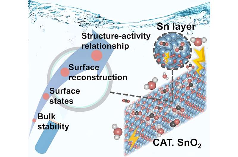 Structure-Activity Relationships in CO2 Reduction on SnO2 Catalysts