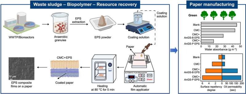 Cost-Effective Paper Coatings from Anaerobic Sludge Biomaterials