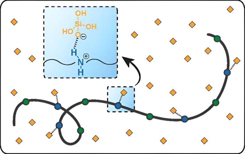 Controlling Silica Scale: New Molecular Insights for Water Treatment