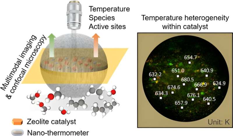 Novel Technique for Precise Temperature Mapping Inside Catalyst Particles