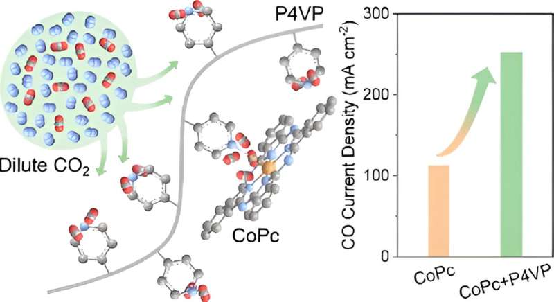 Novel Direct Electrolysis Strategy for Dilute Carbon Dioxide Conversion