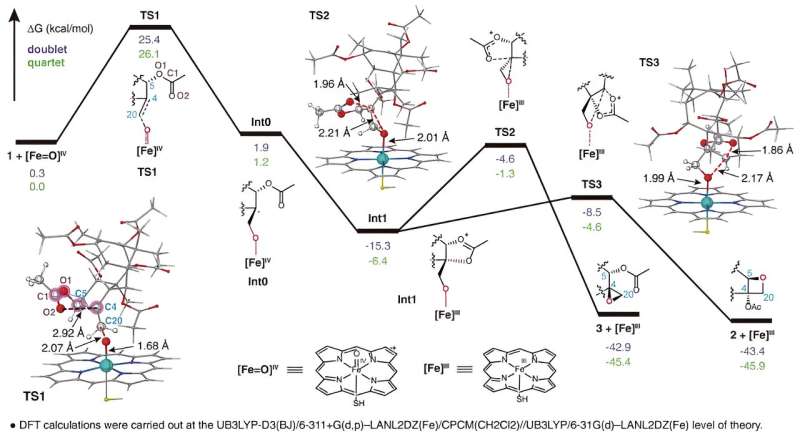 Breakthrough in Taxol Biosynthesis: Potential for Large-Scale Anticancer Drug Production