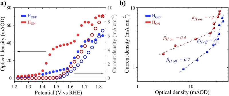 Magnetic Field Influence on Electrocatalytic Processes: A Spectroelectrochemical Study