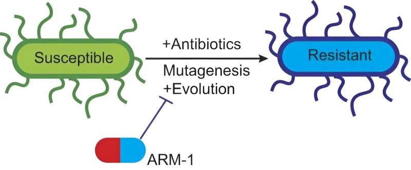 New Compound Inhibits Antibiotic Resistance Evolution: A Breakthrough in Drug Development