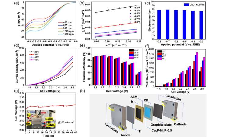 Understanding and Improving Electrocatalytic Nitrate Reduction
