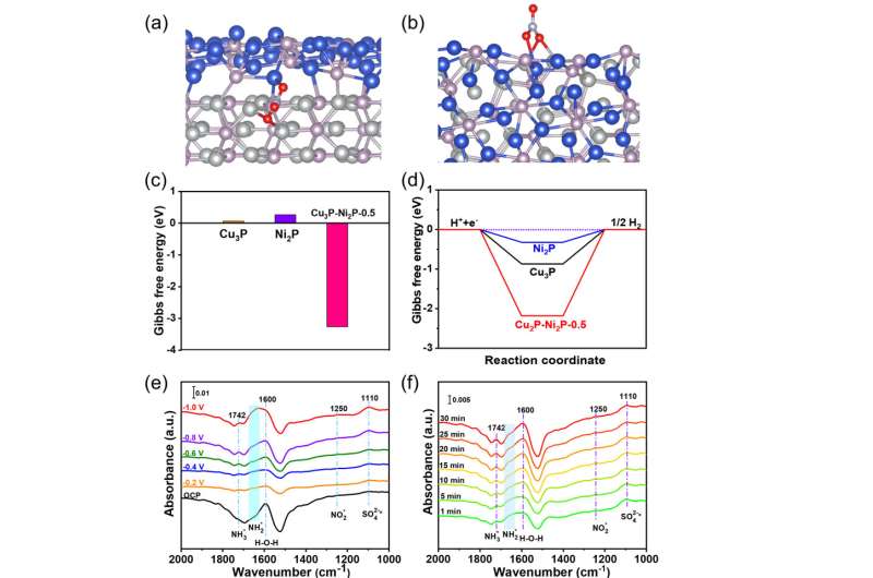 Understanding and Improving Electrocatalytic Nitrate Reduction