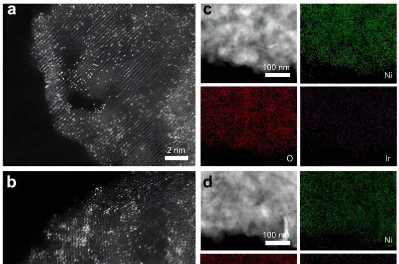 Single-Atom Catalysts for Enhanced Water Electrolysis: A Novel Approach
