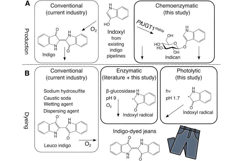 Sustainable Denim: New Dye Technology Reduces Pollution in Jeans Production
