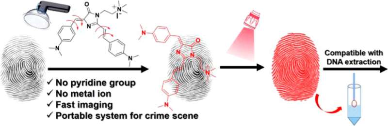 Biocompatible Fluorescent Spray Reveals Fingerprints in Seconds - Advancing Forensic Science