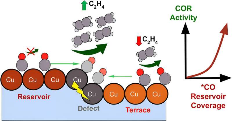 Catalyst Sites in Electrochemical CO₂ Conversion: A Critical Review
