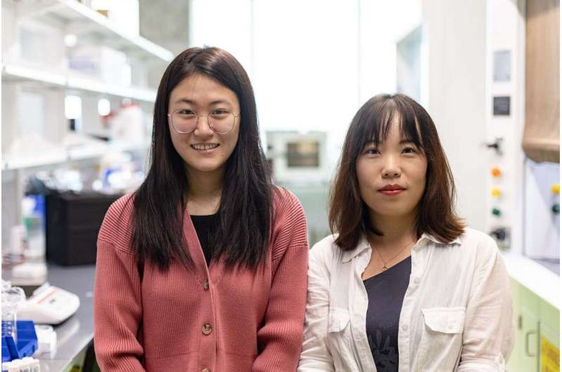 Energy-Efficient Buildings: New Polymer for Optimized Climate Control