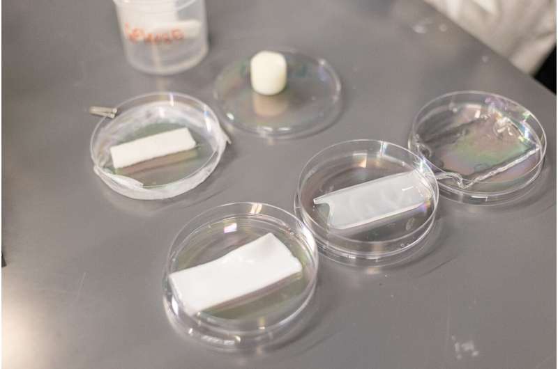 Energy-Efficient Buildings: New Polymer for Optimized Climate Control