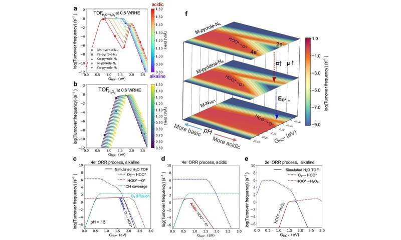 Single-Atom Catalysts: pH s Impact on Oxygen Reduction Reaction Performance