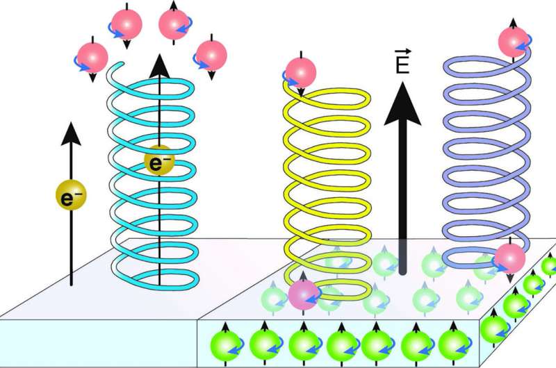 Magnetic Fields: A Key to Understanding the Origin of Life?