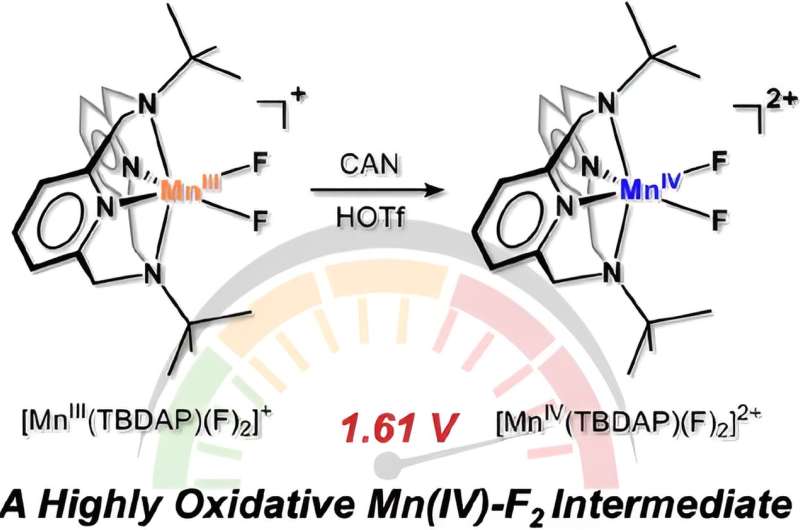 Novel Manganese-Fluorine Catalyst Shows Exceptional Oxidizing Power