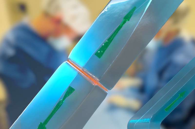 Chitosan-Based Bonding of Hydrogels: A Strong & Versatile Approach