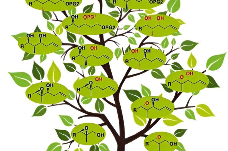 Chemists Synthesize All 8 Variants of Polypropionate Building Blocks from Single Starting Material