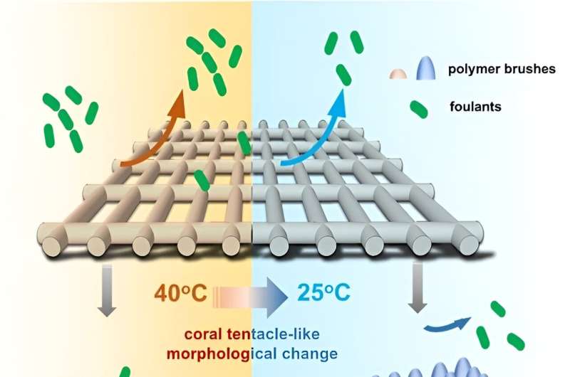 Coral-Inspired Antifouling Membrane Spacer Developed by Chinese Researchers