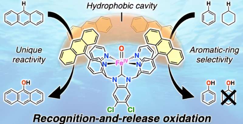 Novel Catalytic System for Oxidizing Hydrophobic Compounds in Water