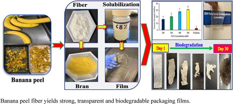Bananas as a Sustainable Solution to Plastic Waste