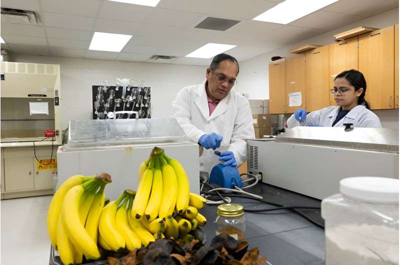 Bananas as a Sustainable Solution to Plastic Waste