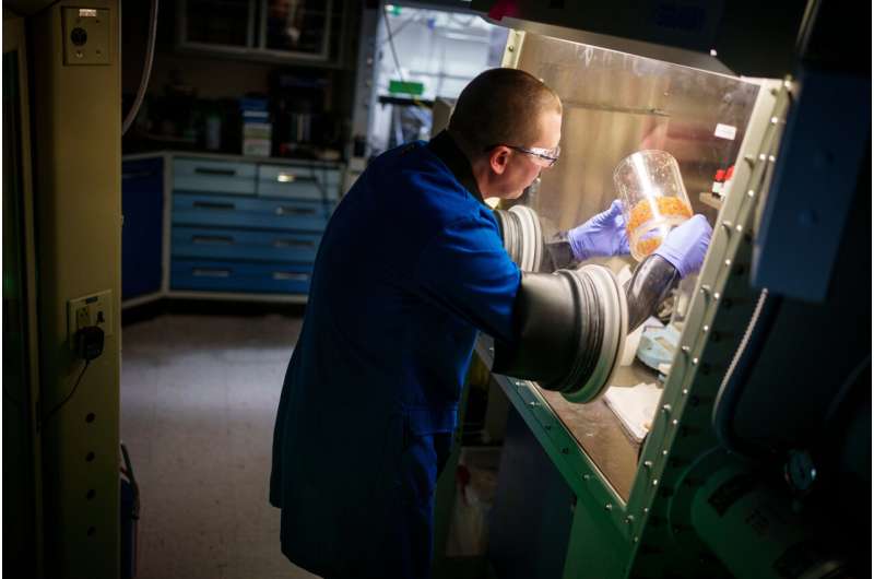 Color-Changing Materials for Enhanced Security and Asset Protection