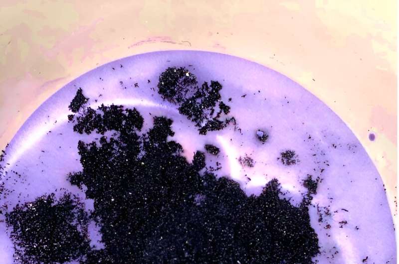 Vanadium Breakthrough: A Key to Efficient Carbon Capture?