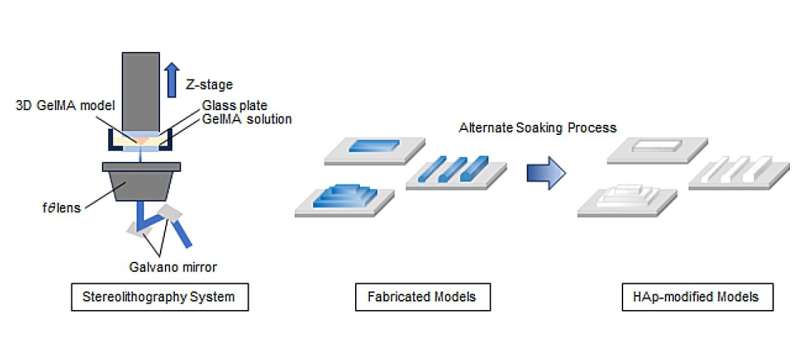 3D-Printed Bone-Mimicking Structures: A Novel Fabrication Method