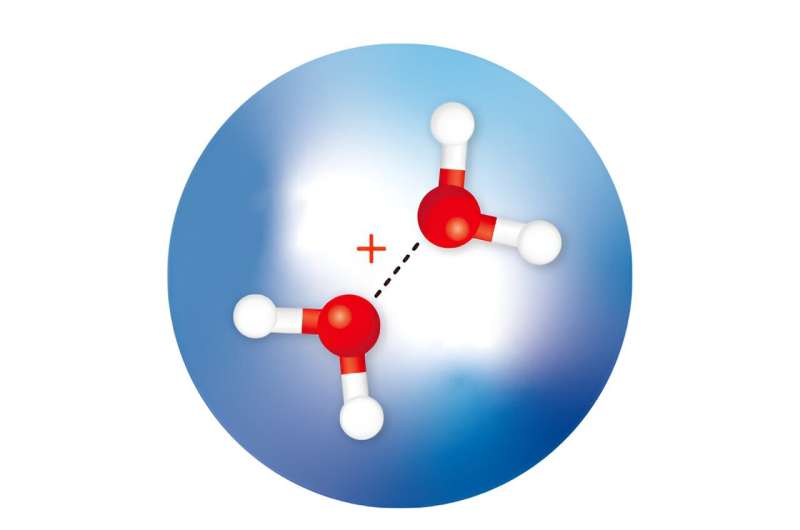 Helium Nanodroplets Reveal Structure of Water Dimer Cations
