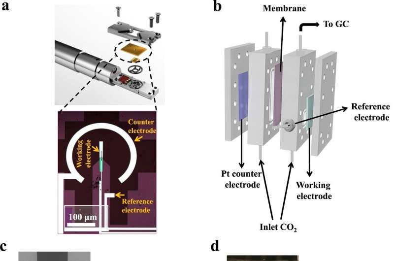Key Bottleneck Identified in CO2 Conversion to Valuable Products