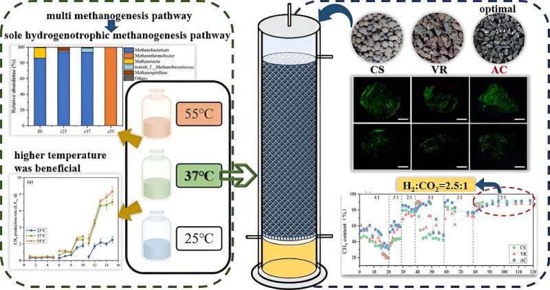 Biotrickling Filters for Enhanced Hydrogen-Methane Conversion in Biogas Upgrading