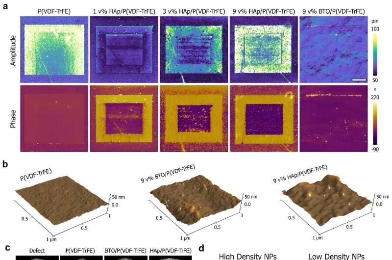 Bioactive Bone Scaffolds: A Novel Approach to Bone Fracture Repair