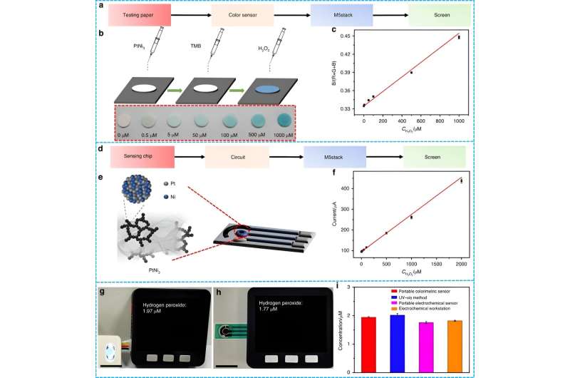 Portable Hydrogen Peroxide Sensors: Visual & Electrochemical Detection