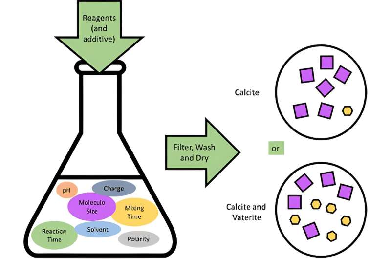 Impact of Additives on Calcium Carbonate Crystallization: A Citizen Science Study
