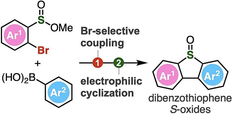 Novel Synthesis of Dibenzothiophene S-Oxides via Chemical Biology