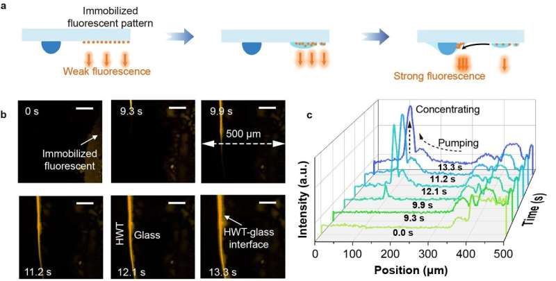 Bioinspired Hydrogel for Efficient Atmospheric Water Harvesting
