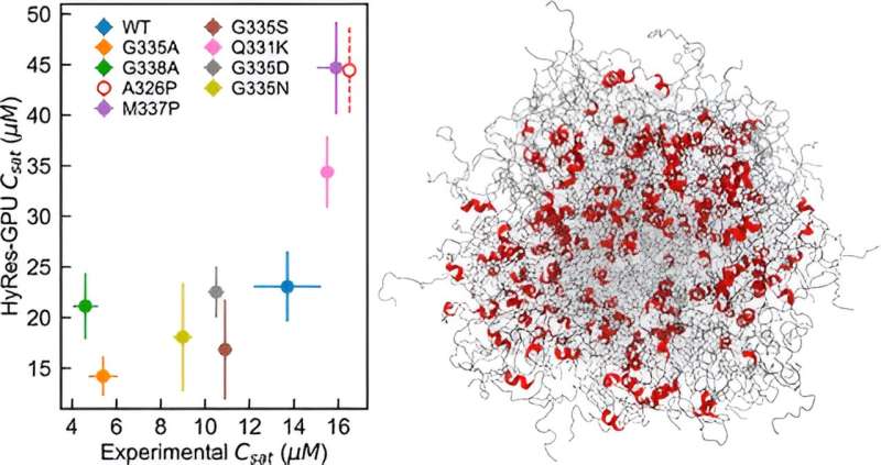 Advanced Simulation Tool for Biomolecular Condensate Modeling