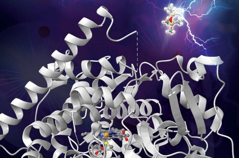 Engineered Enzyme Breaks Silicon-Carbon Bonds in Silicones