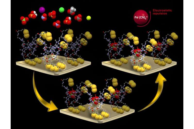 New Sensor Detects Thyroid-Impairing Chemicals in the Environment