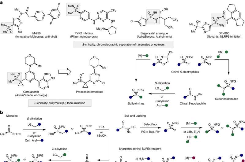 Novel Reagent for Asymmetric Synthesis of Sulfur-Containing Compounds