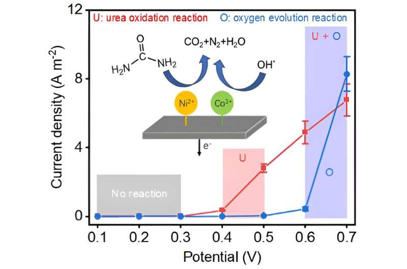 Novel Ni-Based Electrocatalysts for Urea Oxidation & Hydrogen Production