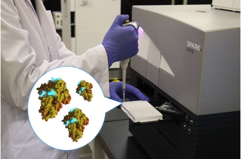 Rapid COVID-19 Test Prototype: Results in One Minute with Bioluminescence